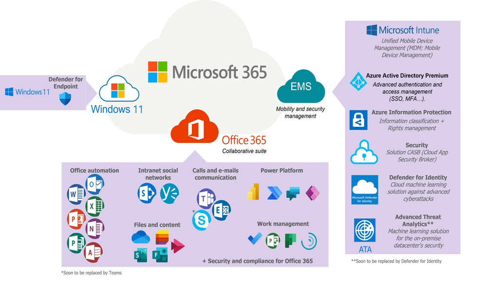 MICROSOFT365